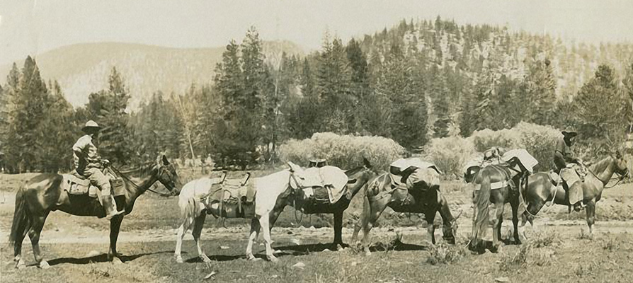 little whitney meadow